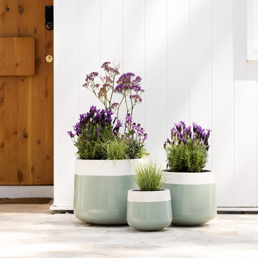 A Summer Clustered Combo with Teal & Lavender