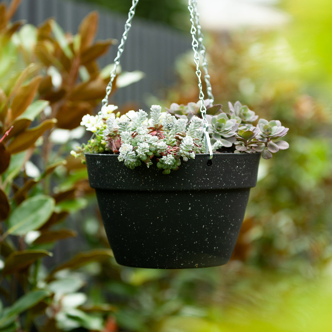 Low Maintenance Hanging Display