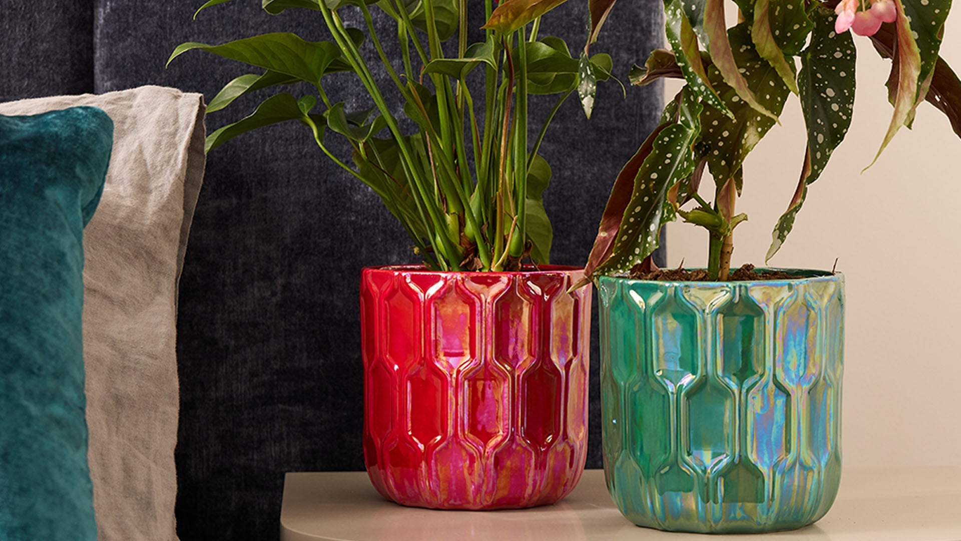 Christmas Gift Guide