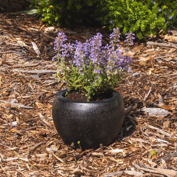 Precinct Lite Moon Pot