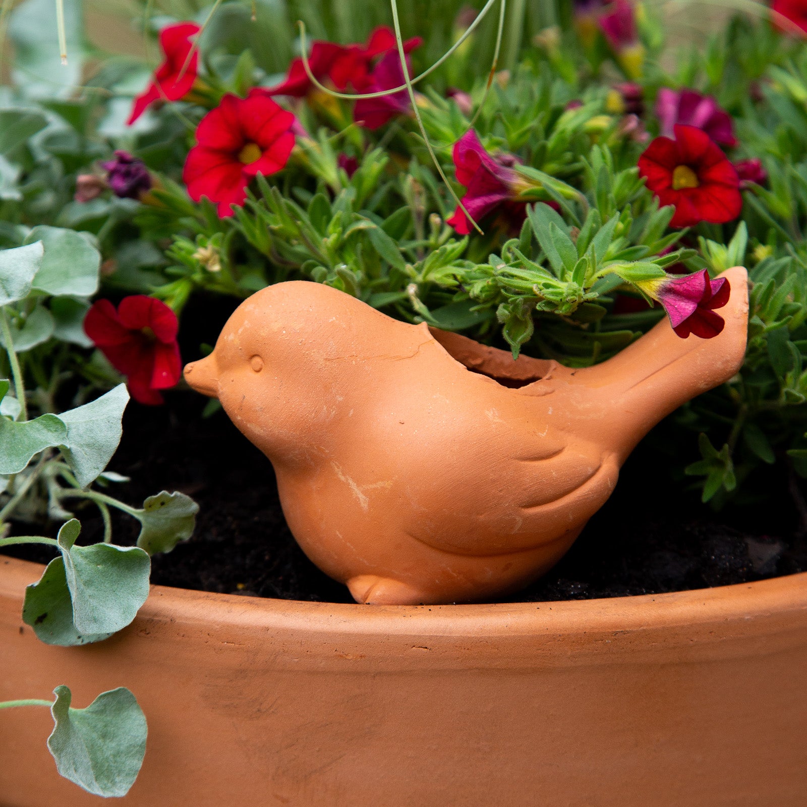 plant pot reservoir Terracotta Bird Self-Watering Garden Pot Reservoir Stake – Northcote Pottery