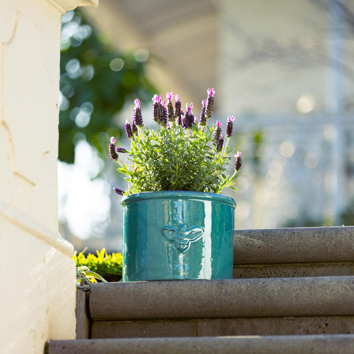 Bee Glazed Planter