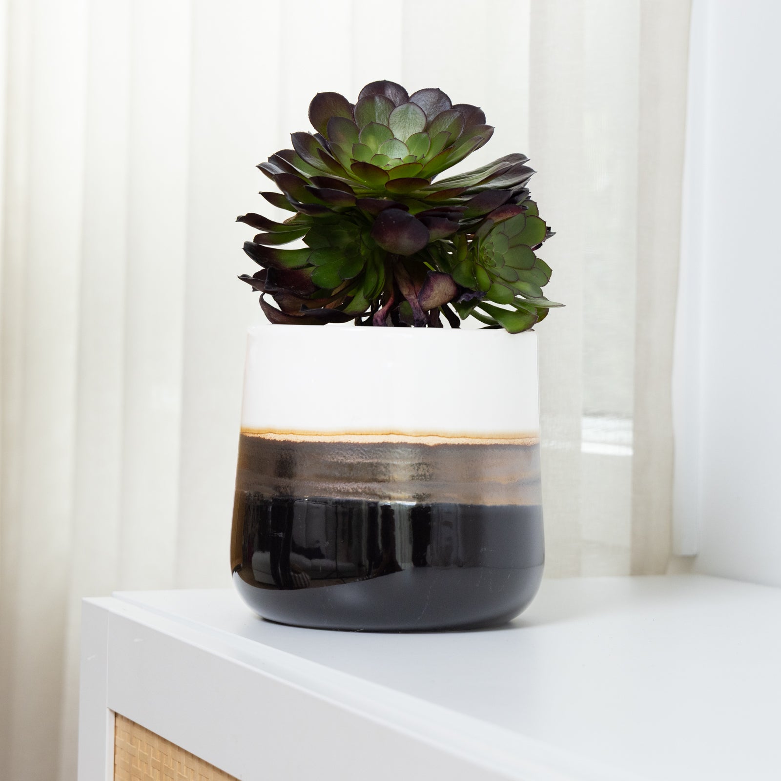lava plant pot Lava Cylinder Pot – Northcote Pottery