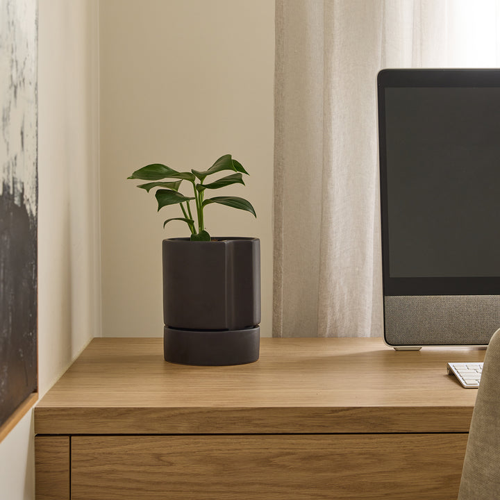 Kelly Cylinder Pot with Saucer