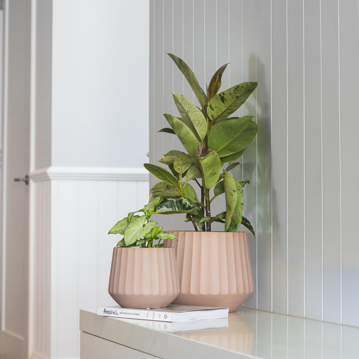 Cove Drum Pot
