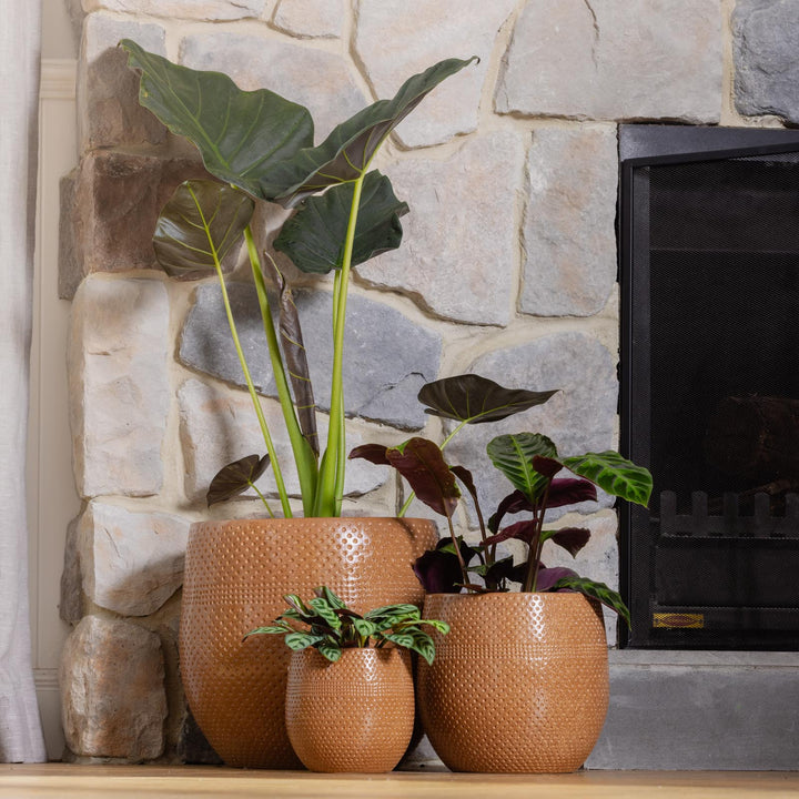 Aya Egg Pot