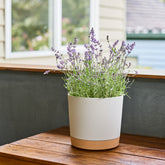 Capri Cylinder Pot