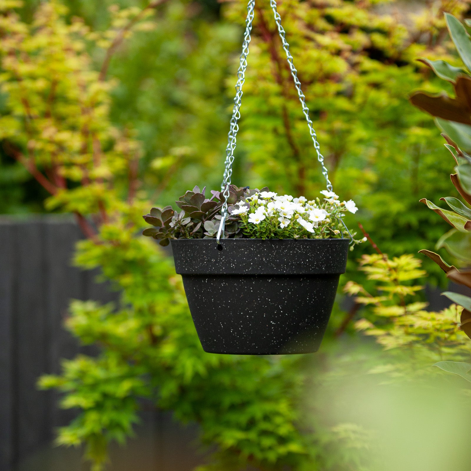 self watering hanging baskets for plants Self-Watering Hanging Basket – Northcote Pottery