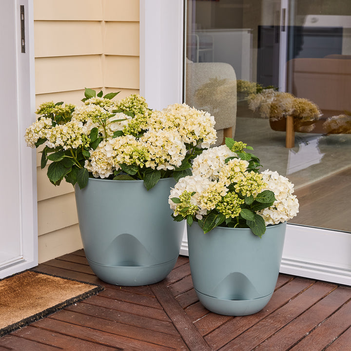 Everly Self-Watering Egg Pot