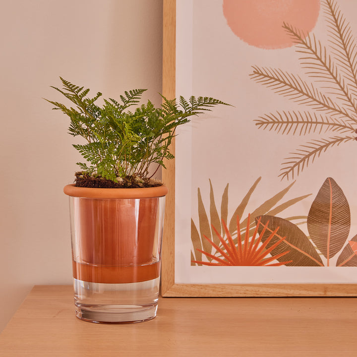 Koda Self-Watering Pot