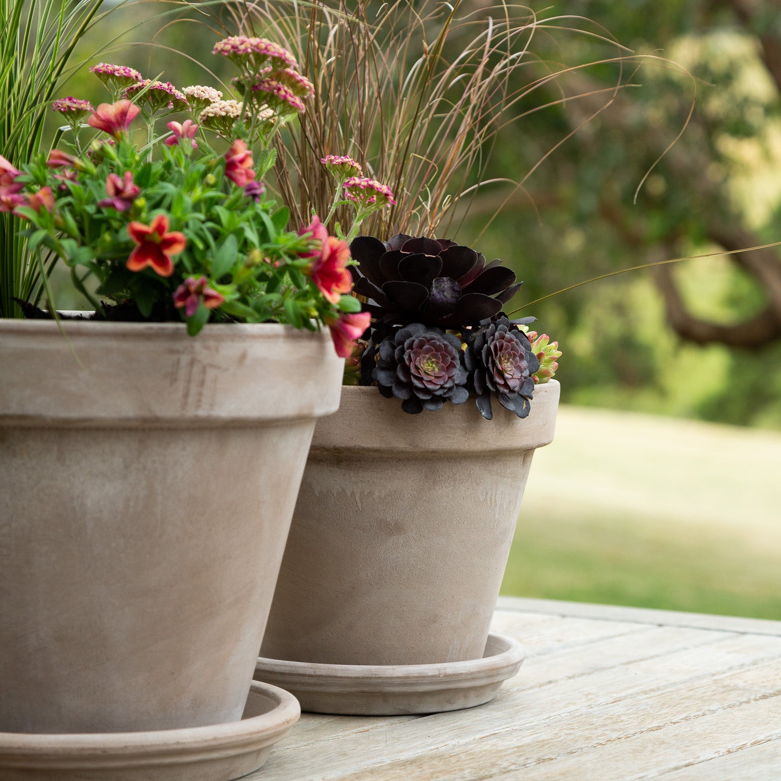 italian clay pots for plants Italian Greige Garden Pot – Northcote Pottery