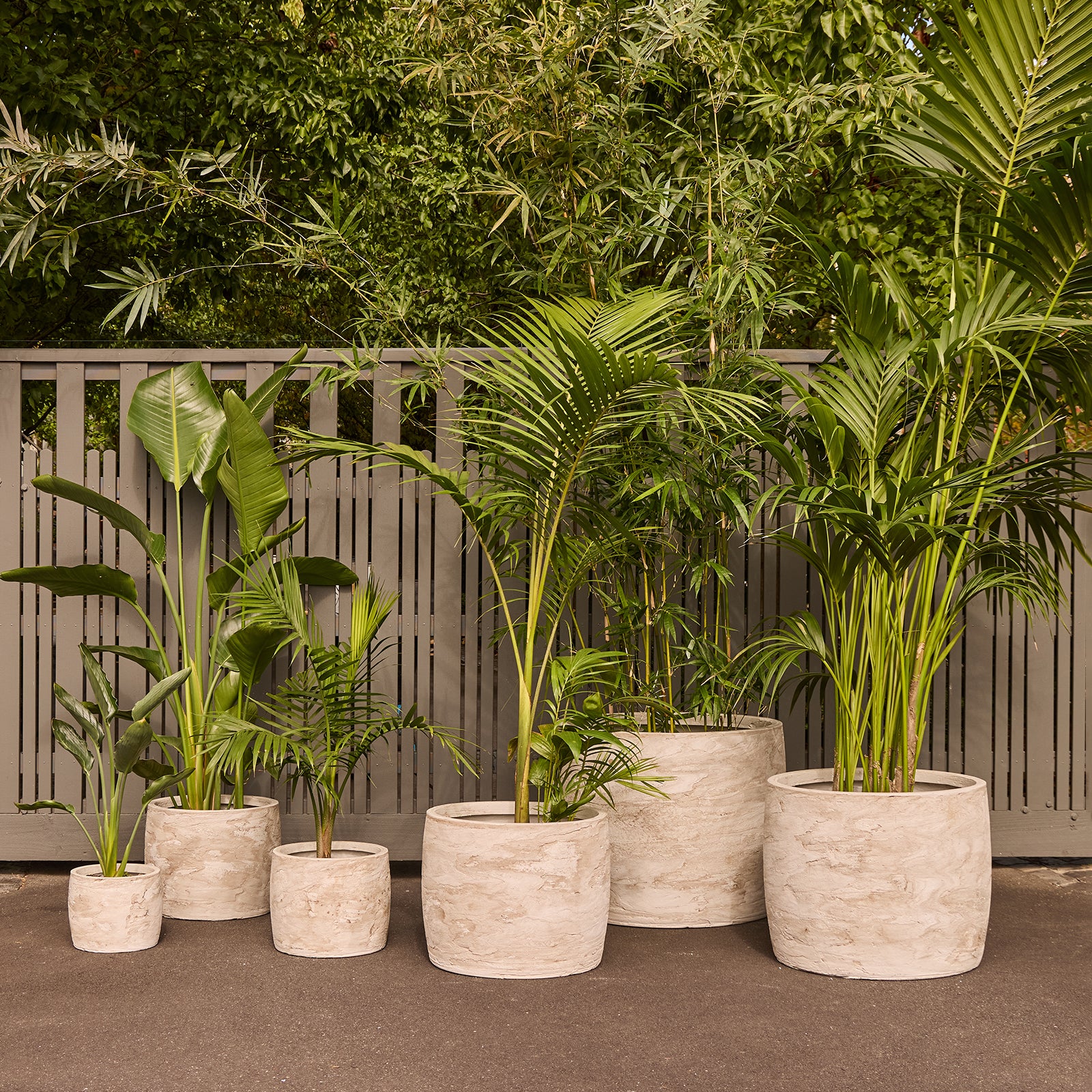 xl pots for plants Storm XL Cylinder Pot – Northcote Pottery