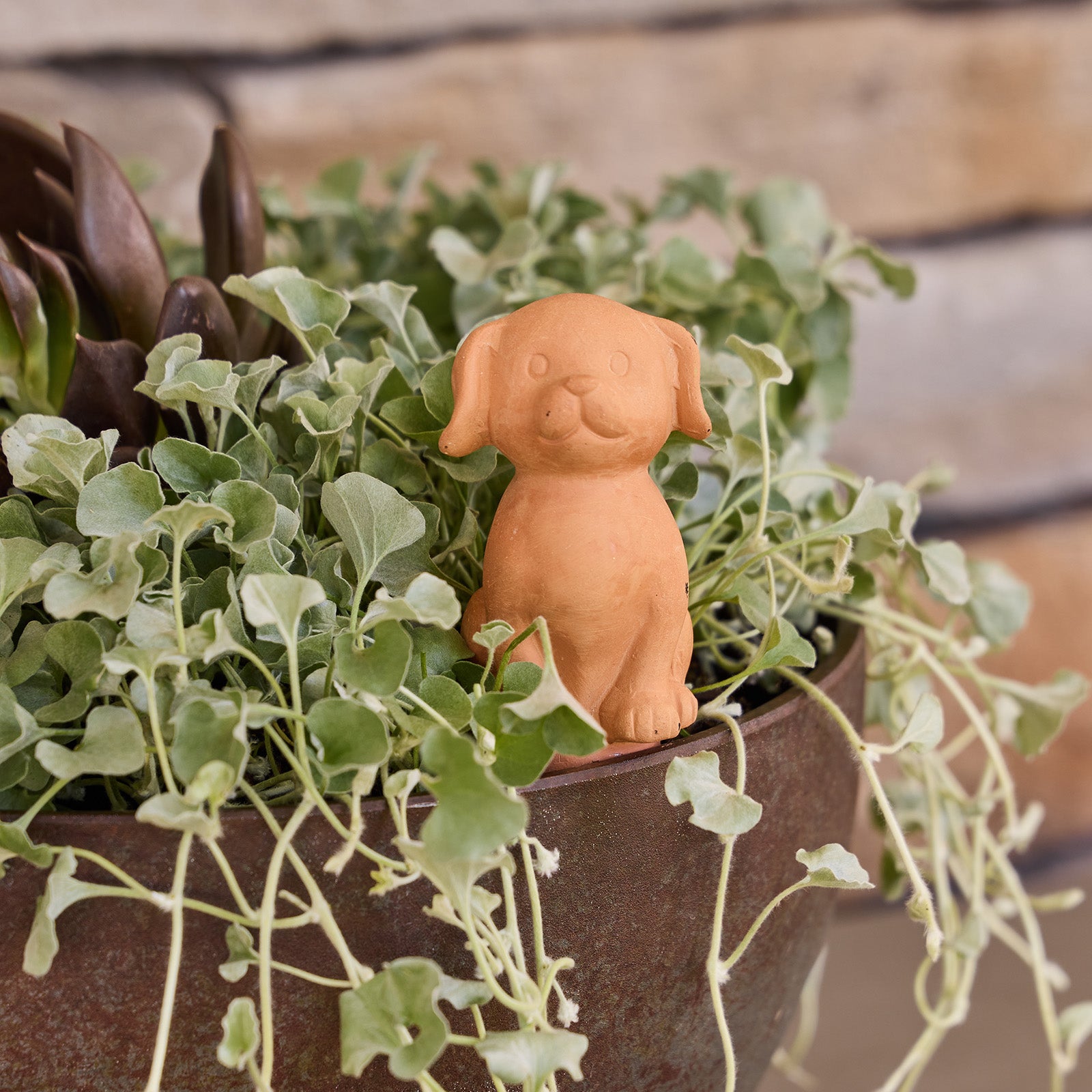 self watering dog planter Terracotta Dog Self-Watering Garden Pot Reservoir Stake – Northcote Pottery