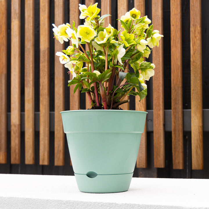 Leonard Self-Watering Round Pot