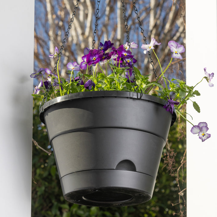 Leonard Self-Watering Hanging Basket