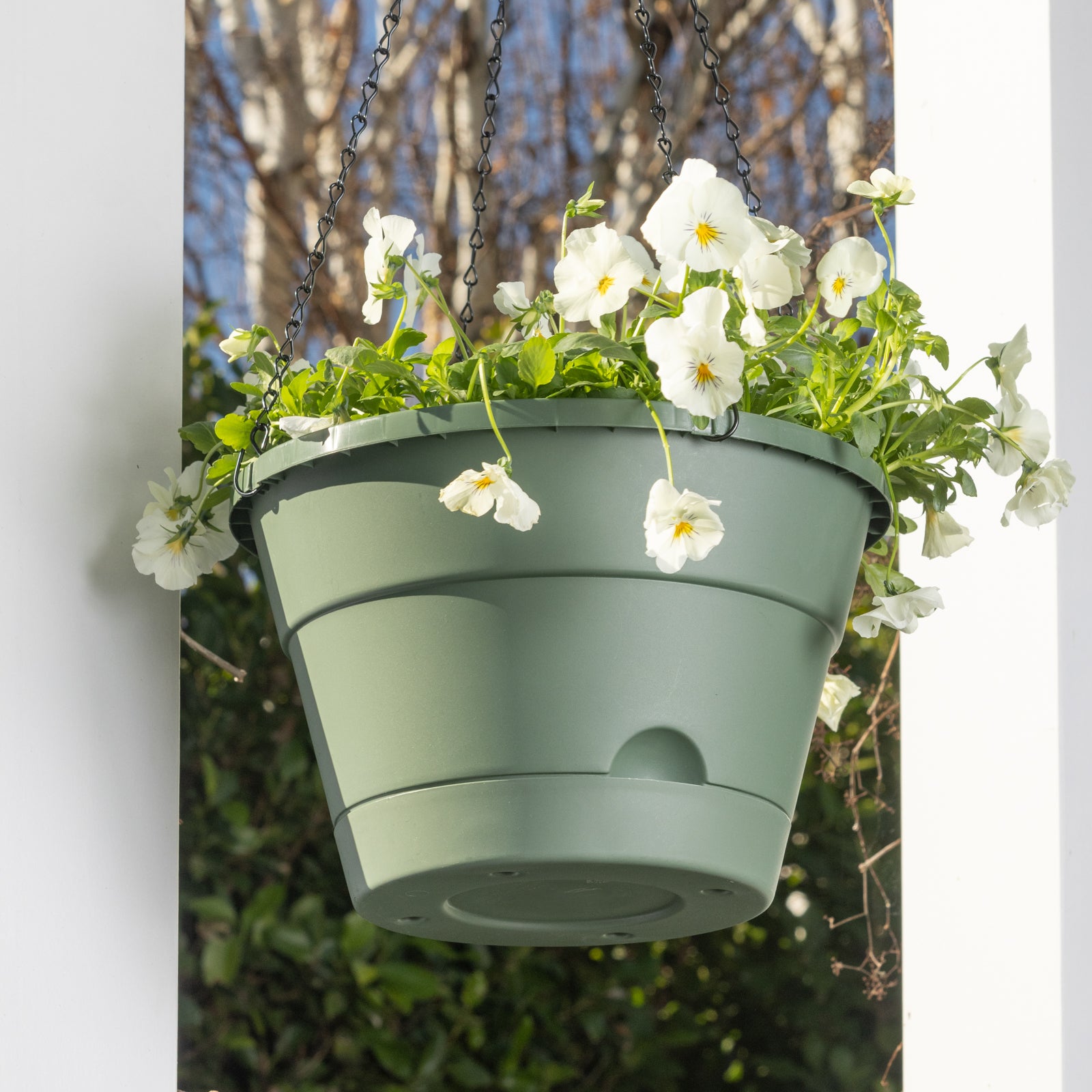 self watering hanging planter Leonard Self-Watering Hanging Basket – Northcote Pottery
