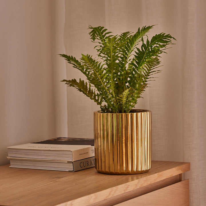 Pax Line Cylinder Pot