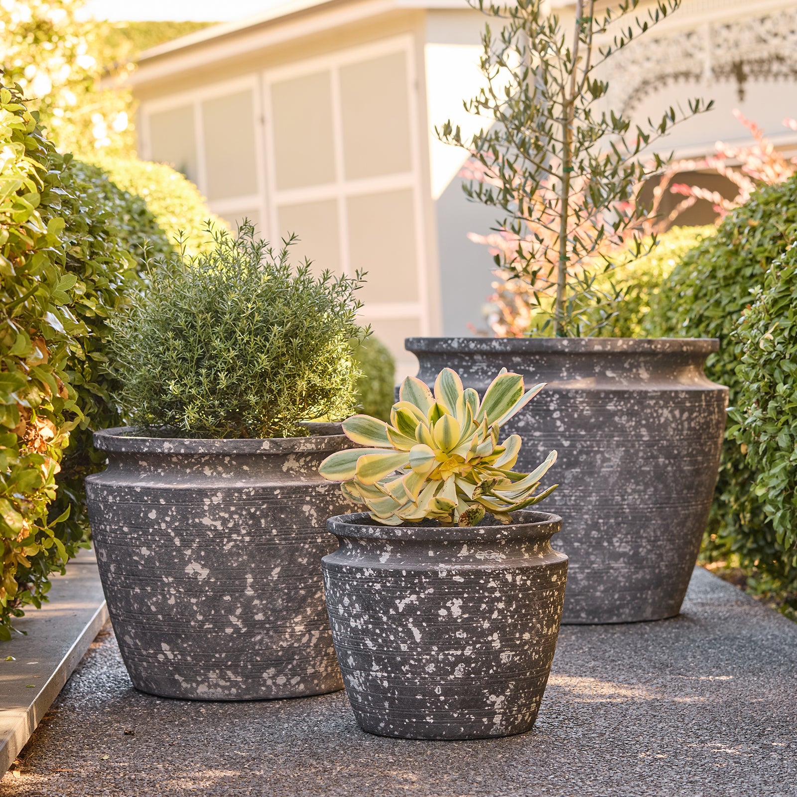 frost free plant pots Drift Cone Pot – Northcote Pottery