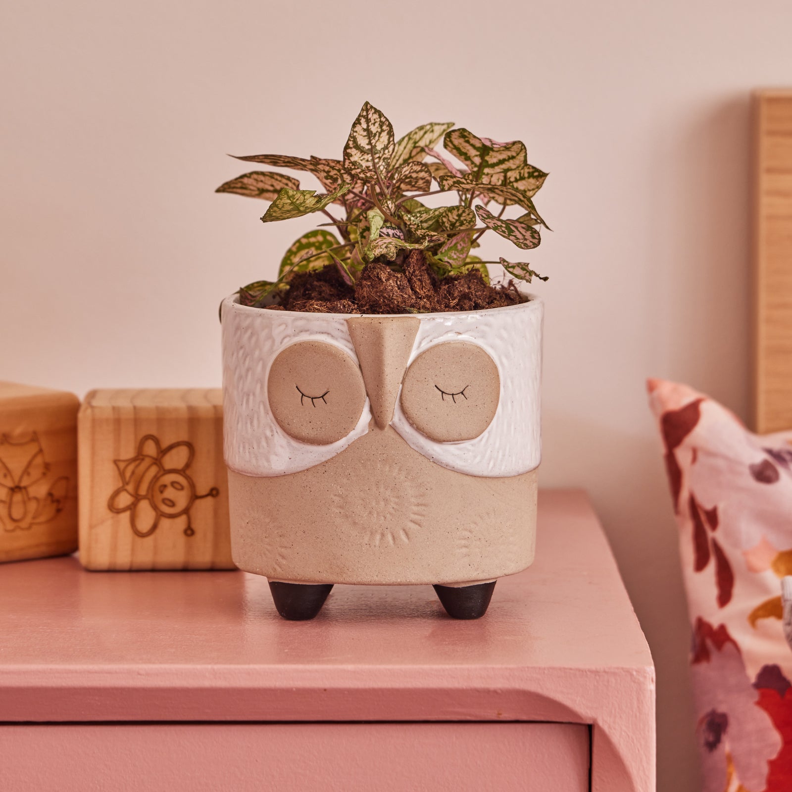 owl planter pots Owl Ornamental Pot – Northcote Pottery