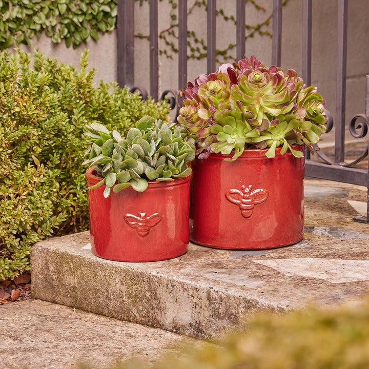 Bee Glazed Planter