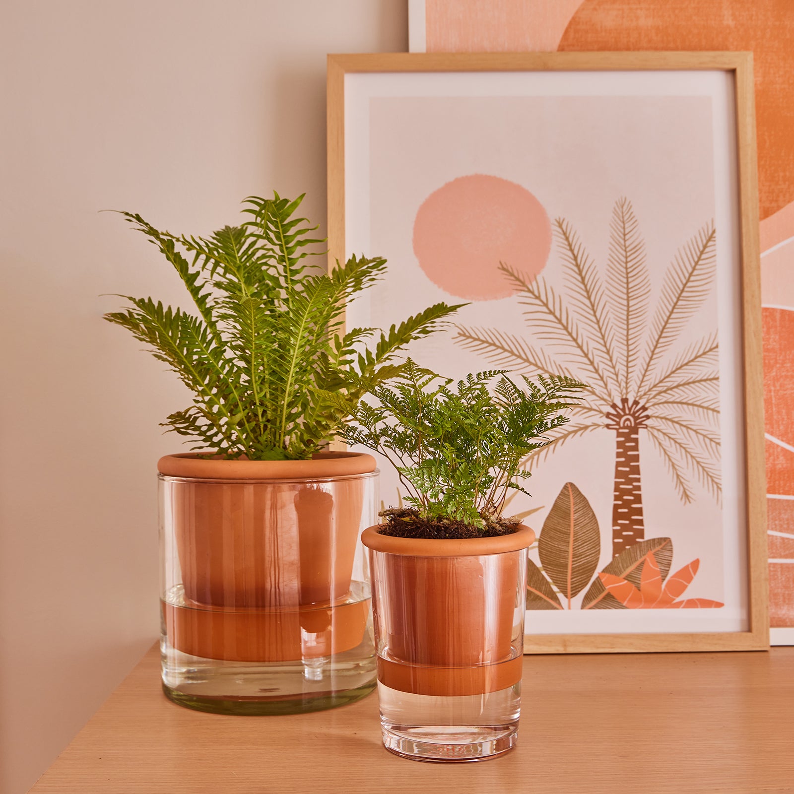 wet pot planter Koda Indoor Self-Watering Pot – Northcote Pottery
