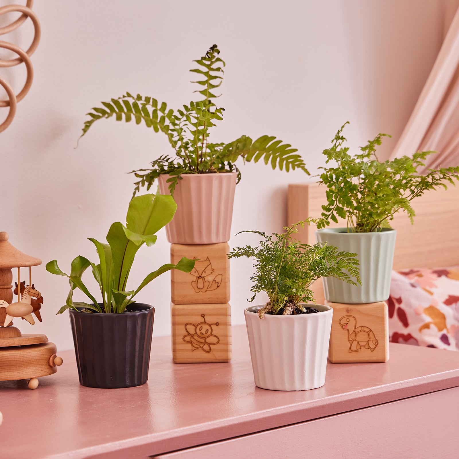 plant pots indoor small Oasis Small Indoor Plant Pot