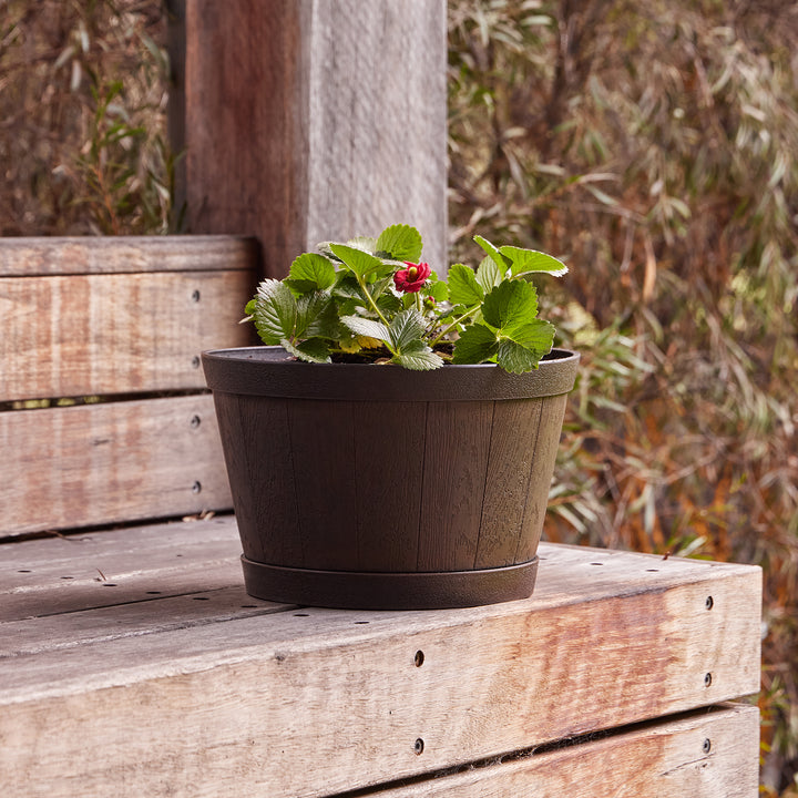 Whiskey Barrel Planter