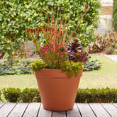 Italian Terracotta Pot