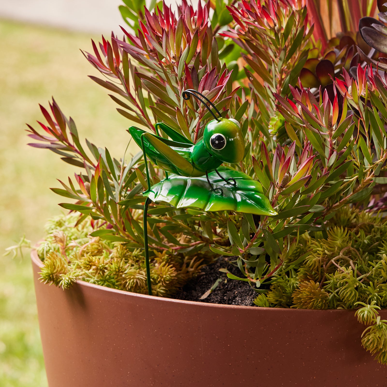 indoor plant stakes bunnings Cricket Garden Stake – Northcote Pottery