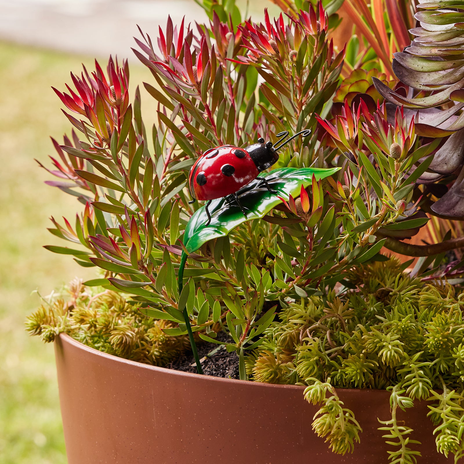ladybugs for pot plants Ladybug Garden Stake – Northcote Pottery