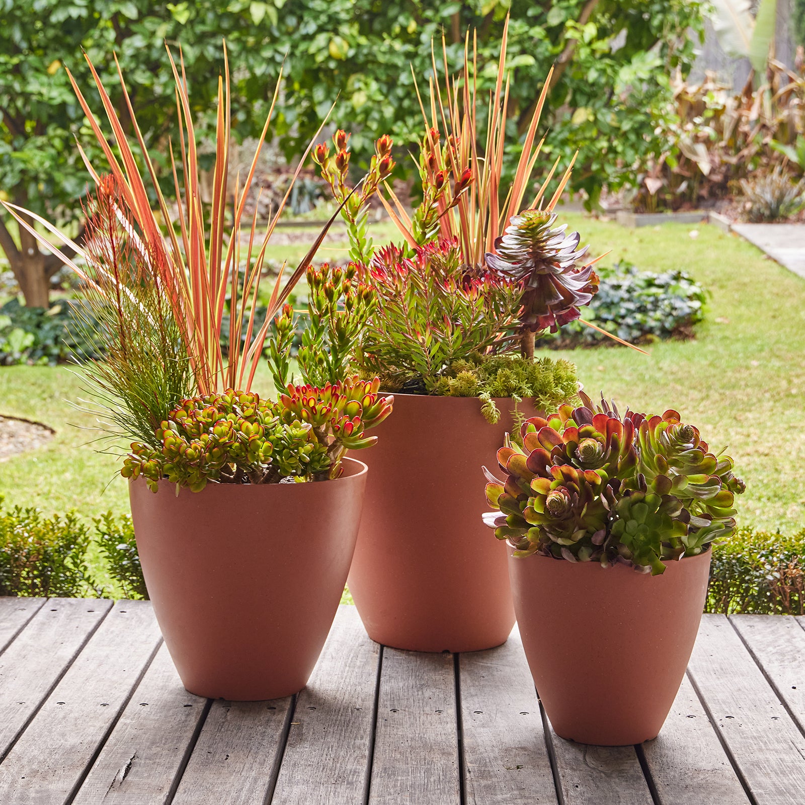 self watering terra cotta planter Self-Watering Terrazzo Egg Pot – Northcote Pottery