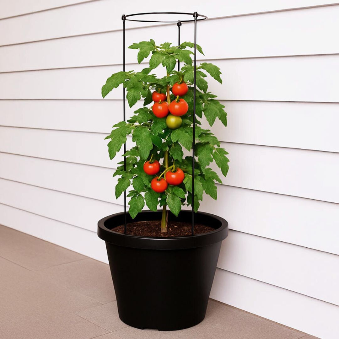 tomato plant pots for sale Tomato Round Planter with Trellis – Northcote Pottery