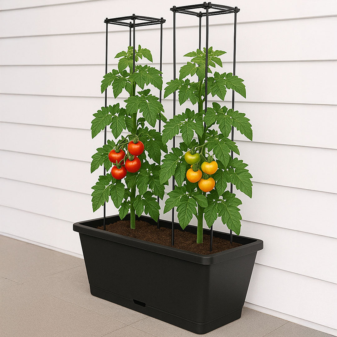 tomato planter box with trellis Tomato Trough Planter with Trellis – Northcote Pottery