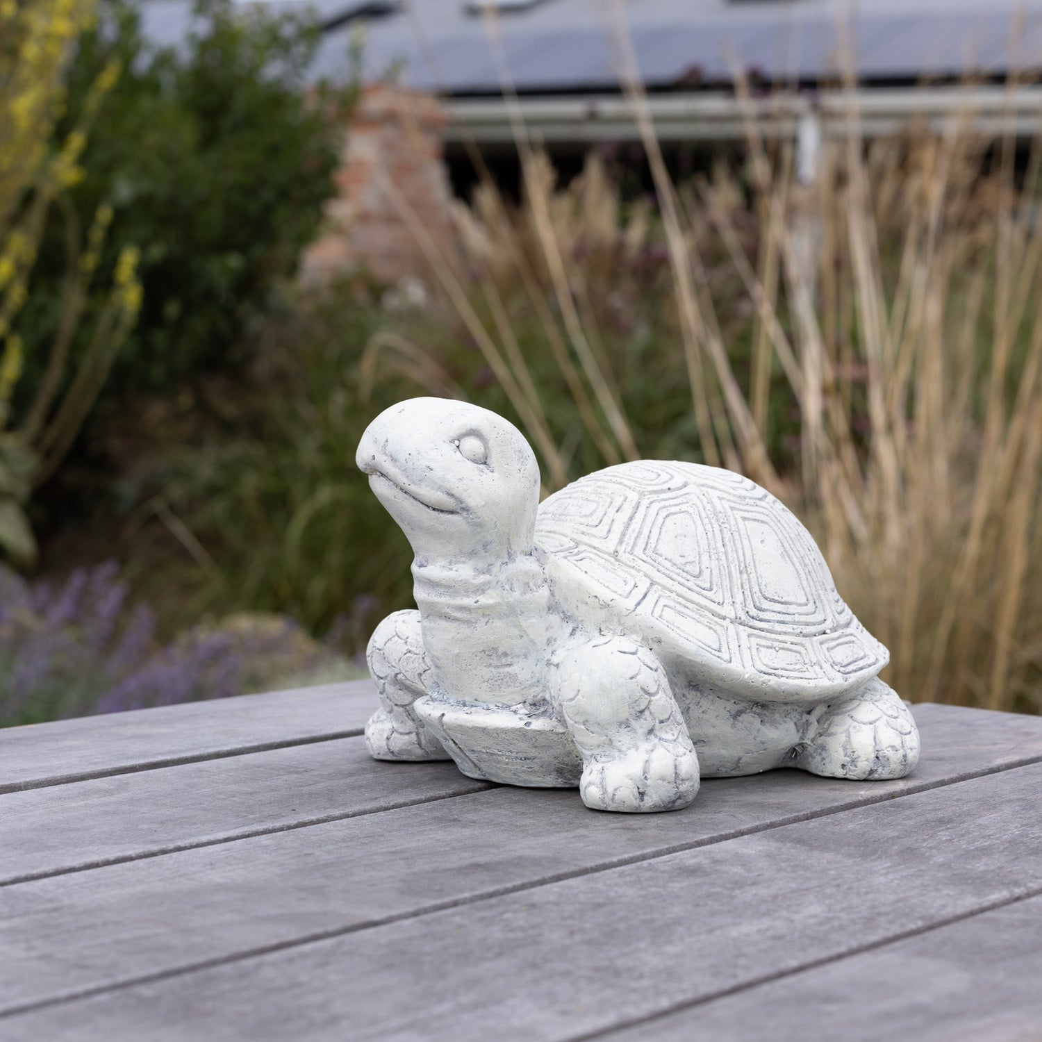 Turtle Statue