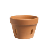 Italian Terracotta Orchid Pot