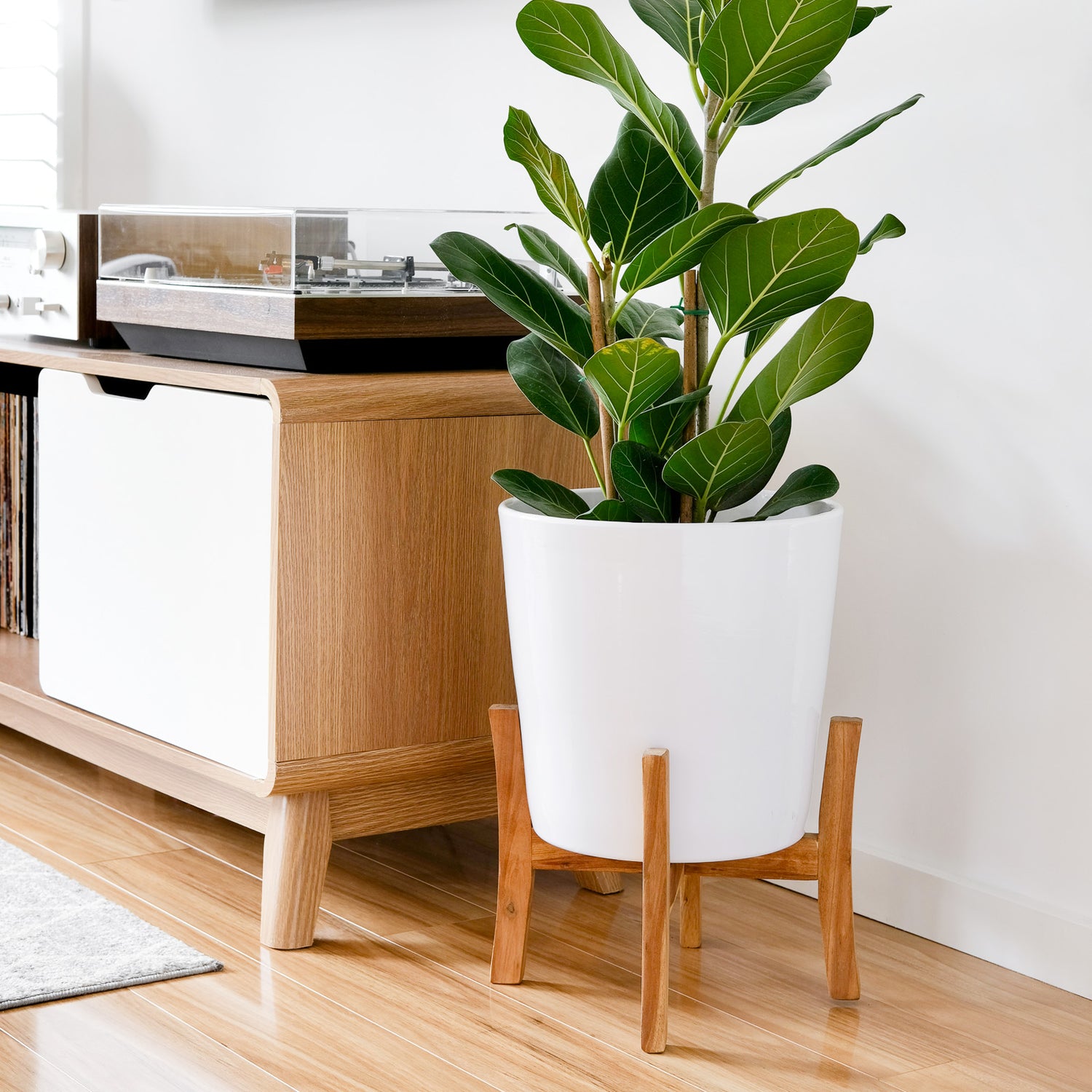 Jayda Pot with Stand