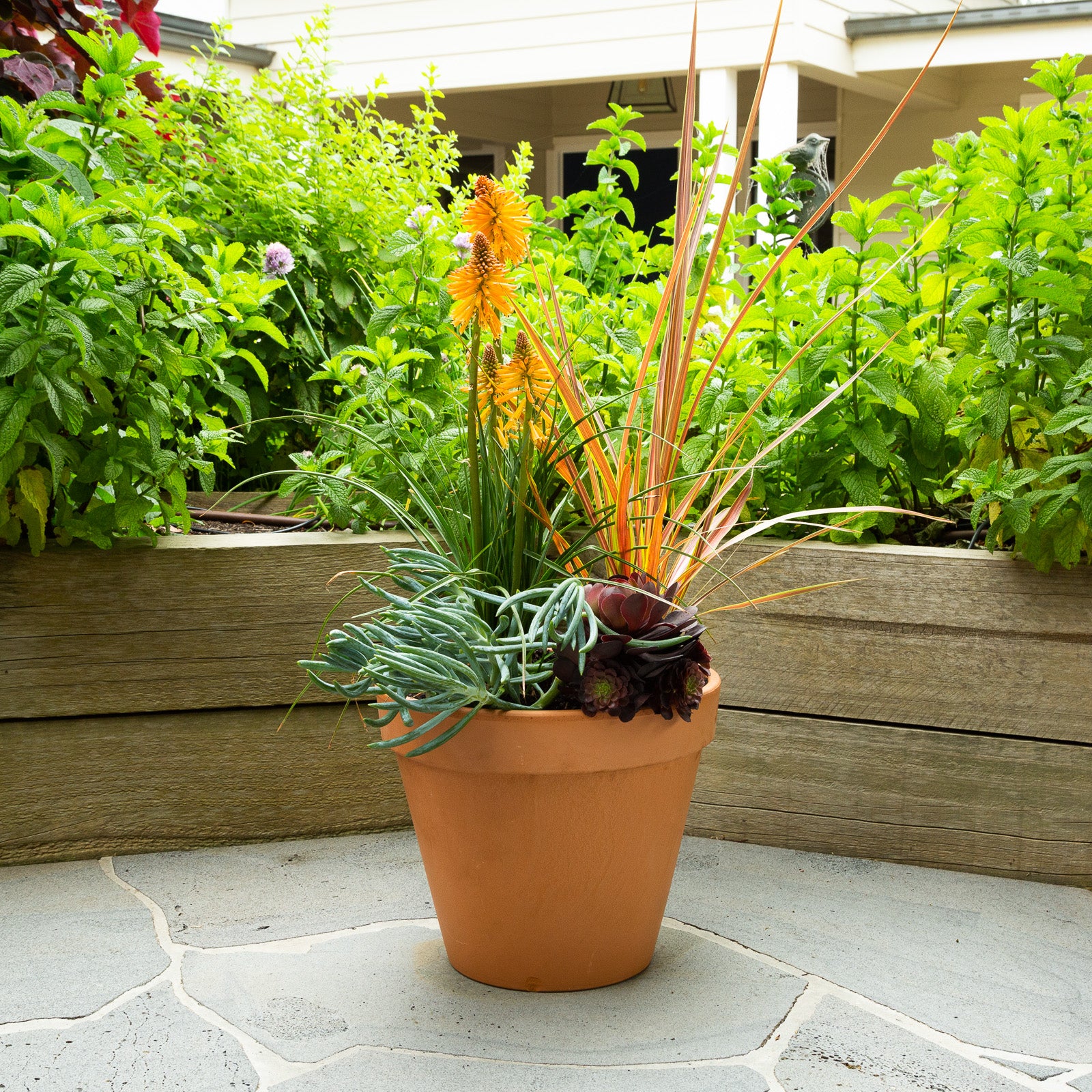 italian pot plants Italian Terracotta Garden Pot – Northcote Pottery