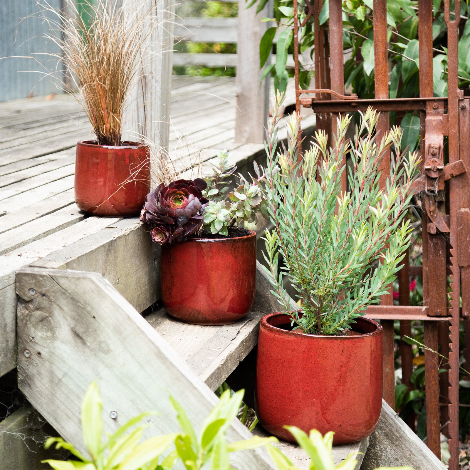 oil drum plant pot Oslo Drum Pot – Northcote Pottery