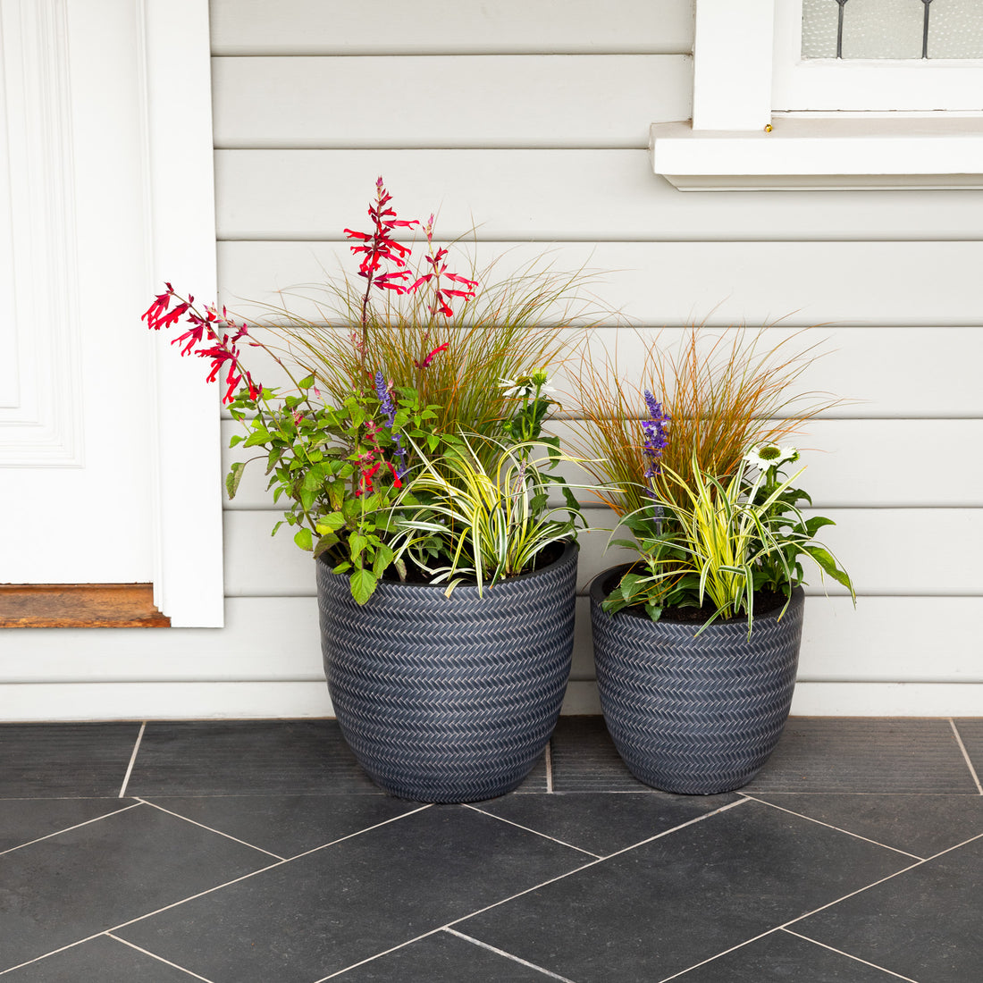 Create a mini meadow in decorative pots