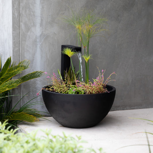 How to Create a Decorative Water Garden Potted Combo