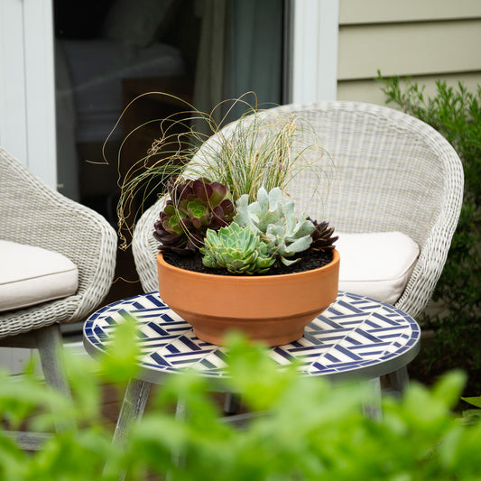 How to create a stylish, easy care potted combo