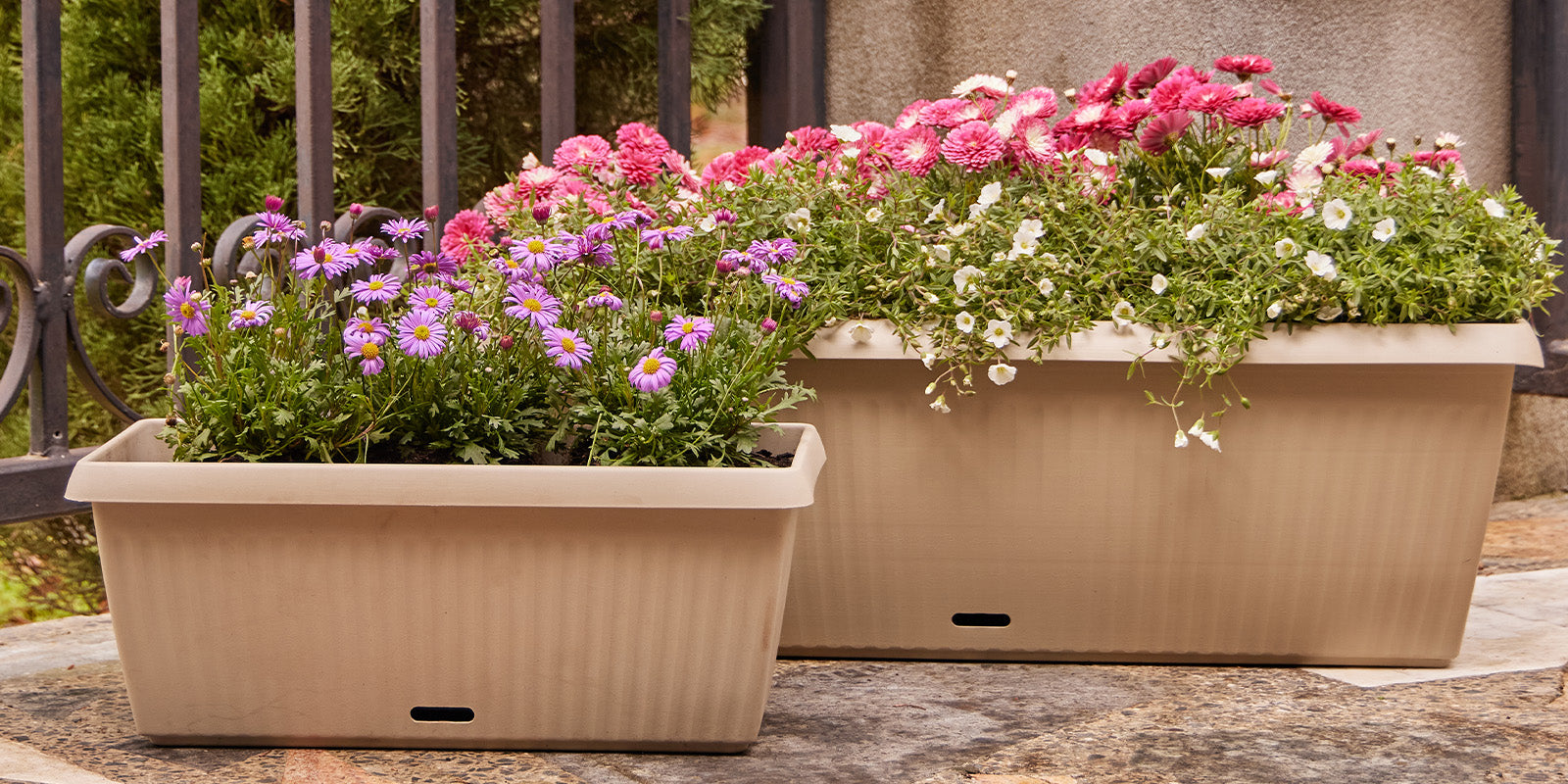 Self-Watering Pots