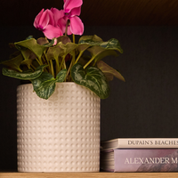Axton Cylinder Pot