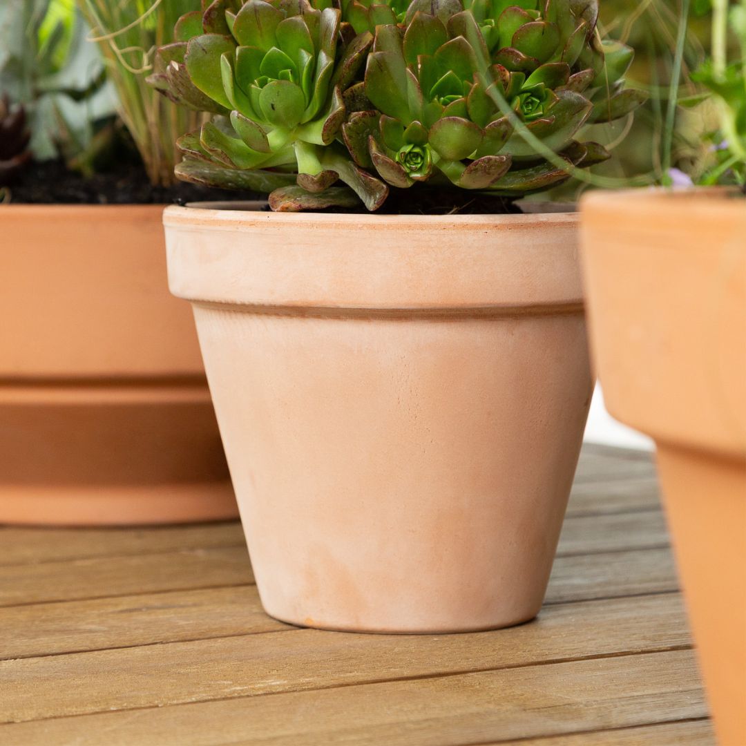 Italian Antique Terracotta Pot