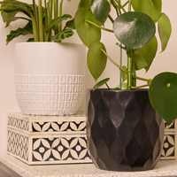 Ardsley Egg Pot
