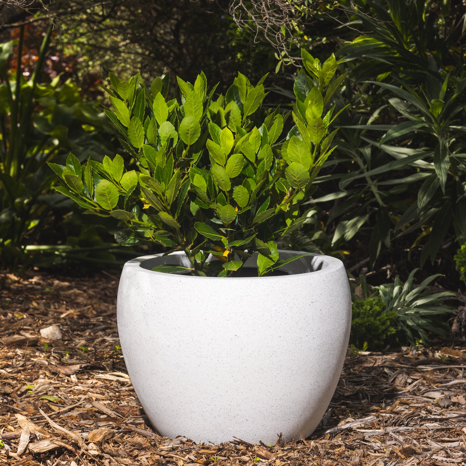 Precinct Lite Moon Pot