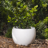 Precinct Lite Moon Pot