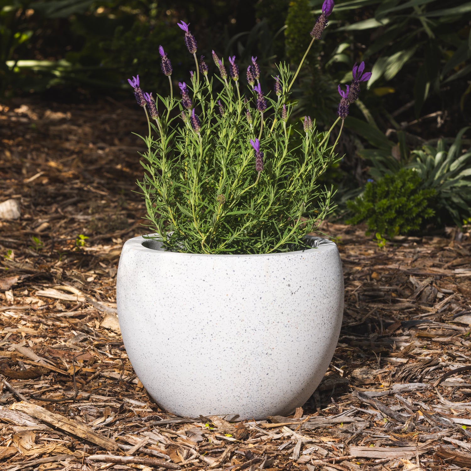 Precinct Lite Moon Pot