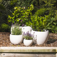 Precinct Lite Moon Pot