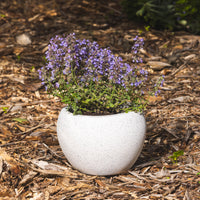 Precinct Lite Moon Pot